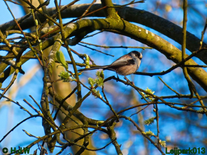 3 &amp; 4 &amp; 5 &amp; 6 april 2025