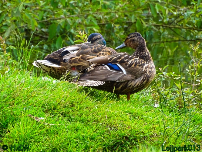 27 &amp; 28 &amp; 29 &amp; 30 juni 2024