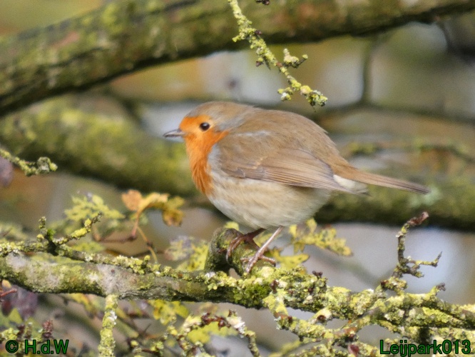 18 &amp; 19 &amp; 20 &amp; 21 november 2024