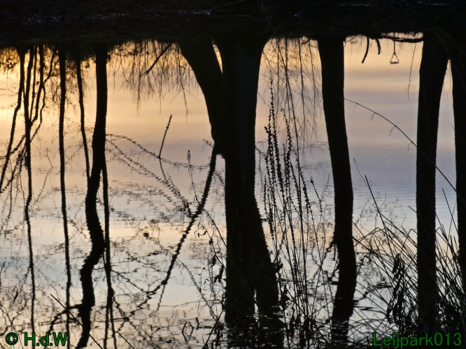 9 &amp; 10 &amp; 11 &amp; 12 januari 2025