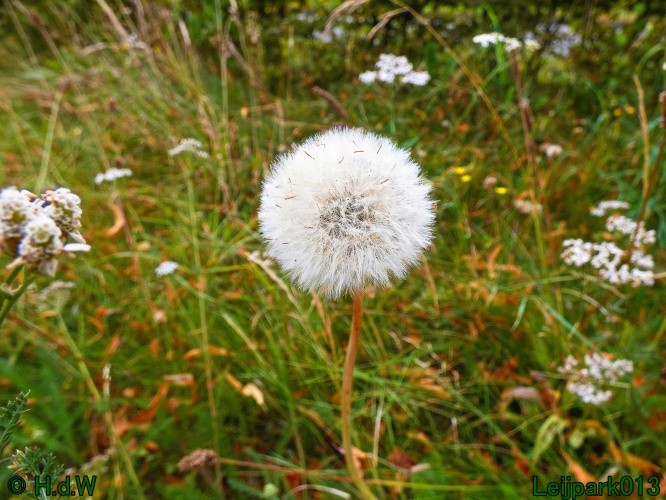 22 &amp; 23 &amp; 24 &amp; 25 augustus 2024