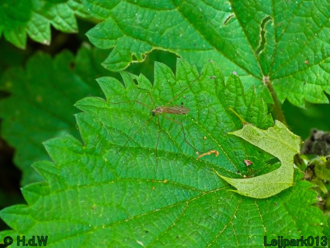 30 april 1 &amp; 2 &amp; 3 mei 2024