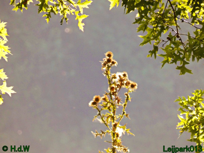 1 &amp; 2 &amp; 3 &amp; 4 oktober 2024