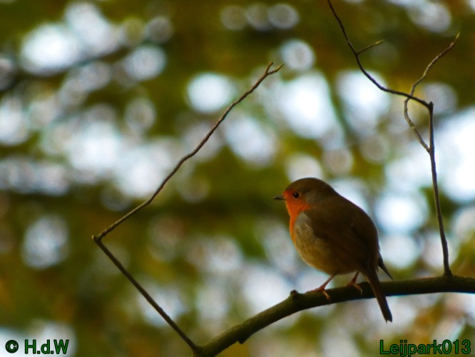 2 &amp; 3 &amp; 4 &amp; 5 November 2024