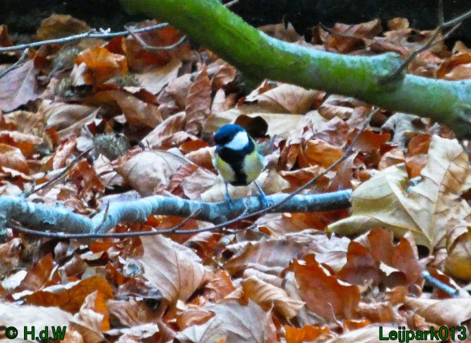 20 &amp; 21 &amp; 22 &amp; 23 december 2024