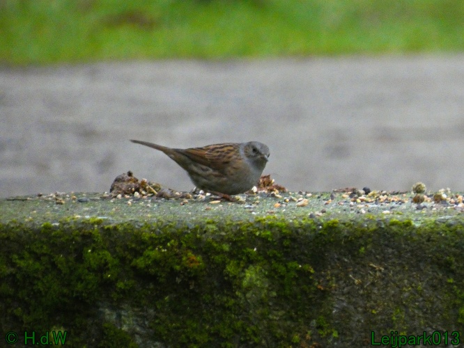 21 &amp; 22 &amp; 23 &amp; 24 januari 2025