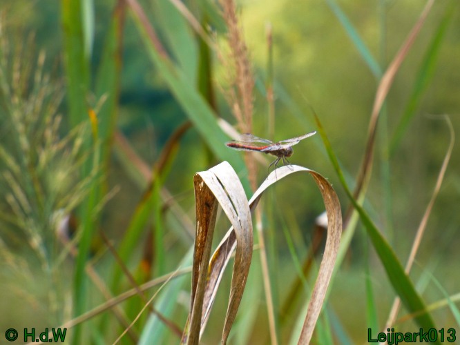 1 &amp; 2 &amp; 3 &amp; 4 oktober 2024