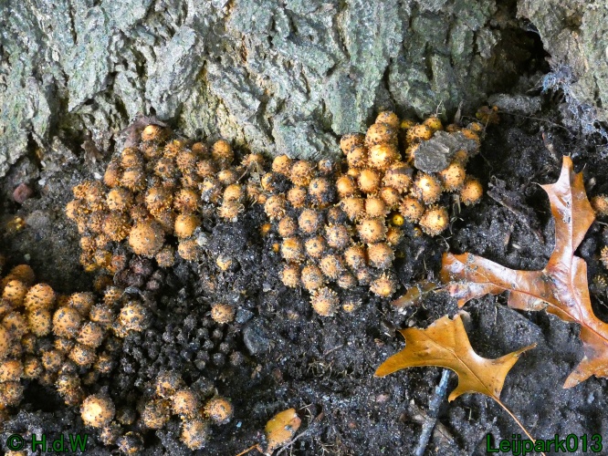 21 &amp; 22 &amp; 23 &amp; 24 oktober 2024