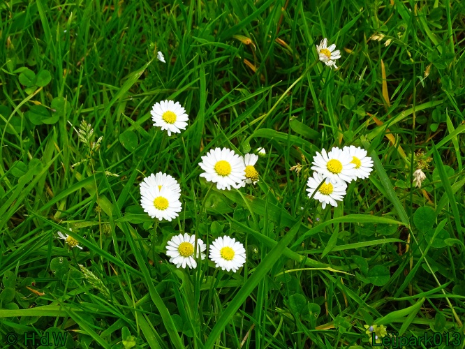 11 &amp; 12 &amp; 13 &amp; 14 juni 2024