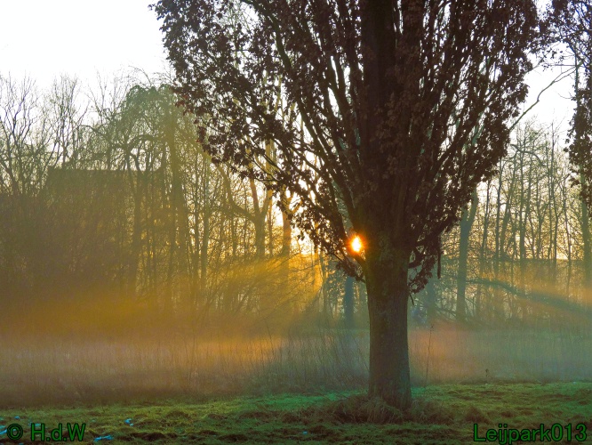 13 januari Mist en zon