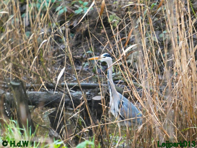 1 &amp; 2 &amp; 3 &amp; 4 januari 2025