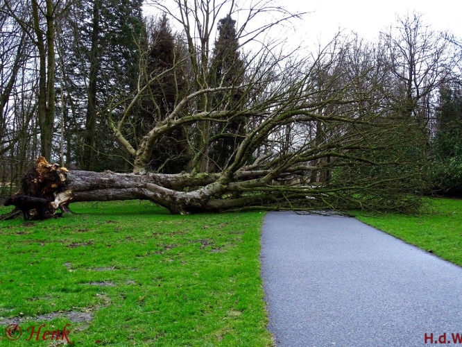 Storm terug in de tijd