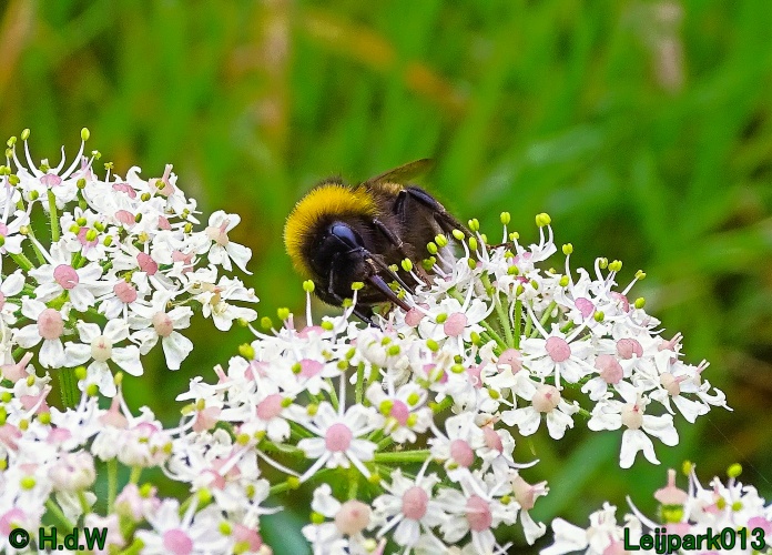 25 &amp; 26 &amp; 27 &amp; 28 juli 2024