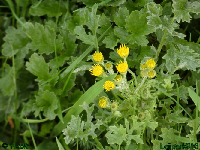 28 &amp; 29 &amp; 30 &amp; 31 oktober 2025