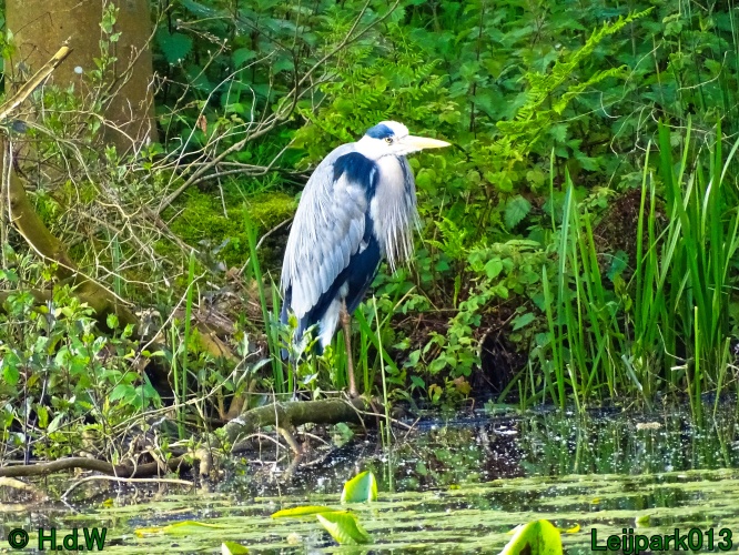 30 april 1 &amp; 2 &amp; 3 mei 2024