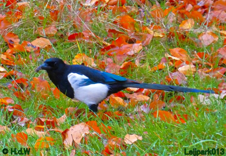 22 &amp; 23 &amp; 24 &amp; 25 november 2024