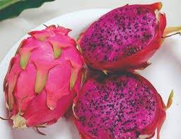 <a class="removable-mention" translate="no" data-mentionid="122089" href="/useroverview/122089/ellesvandenbroek">@ellesvandenbroek</a> de dragonfruit vrucht ☺️