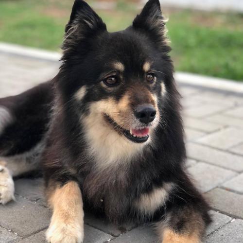 Upcycling hair  #yoorsnovember #pose