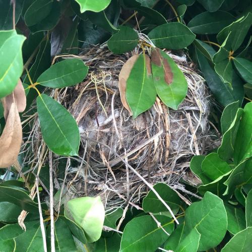 Upcycling hair  #yoorsnovember #pose