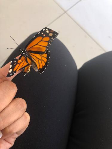 The harsh part of nature #heal