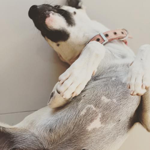 Relaxxxxx....... chill