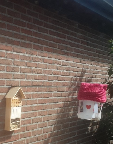 Hokje voor de vogels