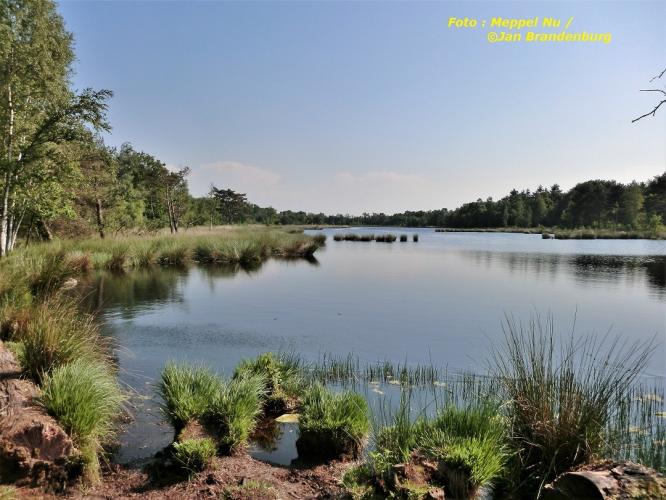 Ven in het Staatsbos Staphorst