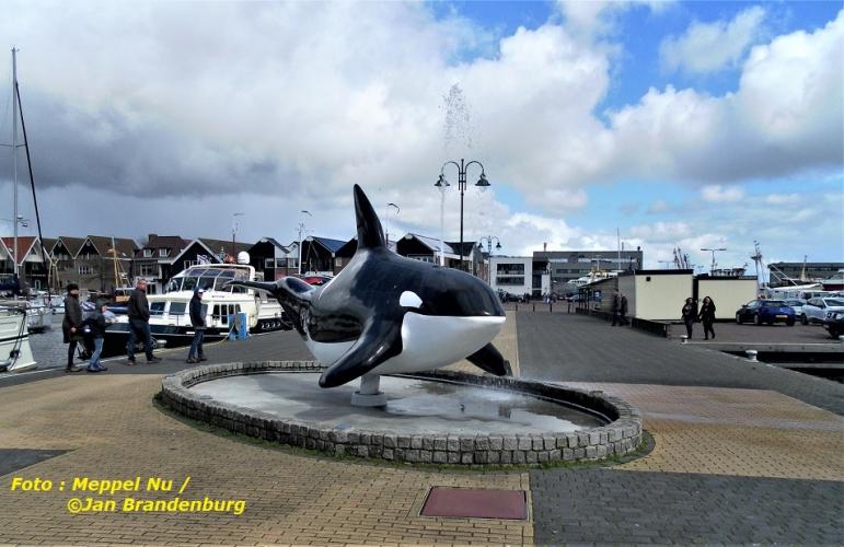 Orca in Urk :