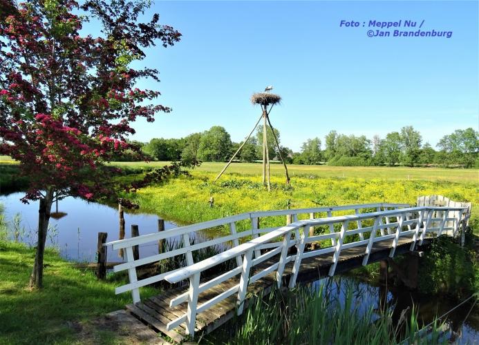 Raad Waar Ie Staat , 21-5-2020