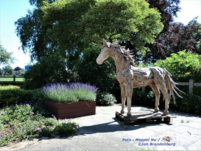 Er Staat Een Paard......?