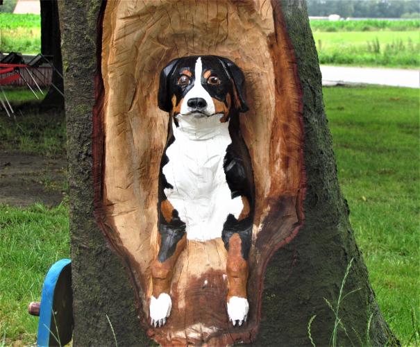 NEKE OR REAL: but by no means