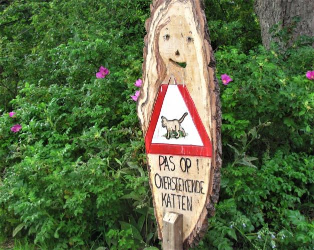 Opvallend Bij De Weg