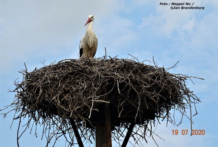 OOIEVAAR  houdt mij in de gaten :