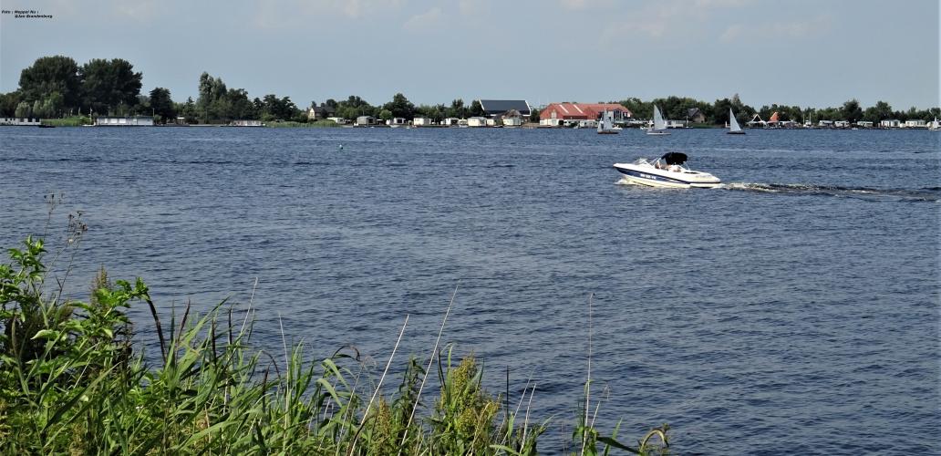 Raad Waar Ie Staat , 7-8-2020