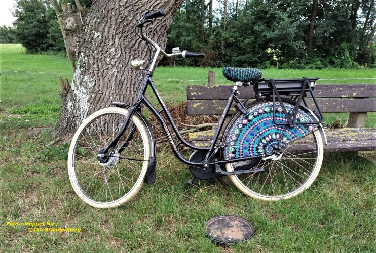 STAPHORST EN HAAR TRADITIES worden "schaars" ! 