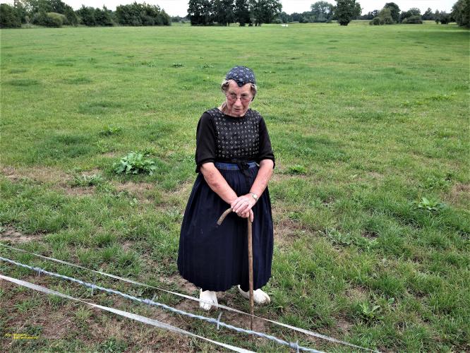 At The Pinks Or To The Pinks?