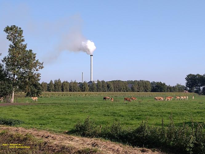 GRASDROGERIJ RUINERWOLD : milieuvriendelijk ?