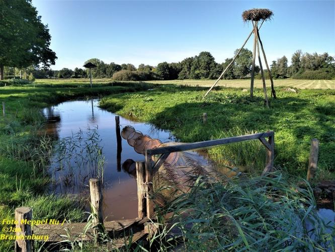 VISFUIK  :  een must  ?