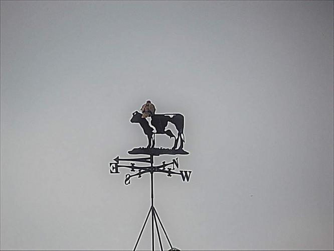 ALLE GEKHEID OP EEN STOKJE : toch ?