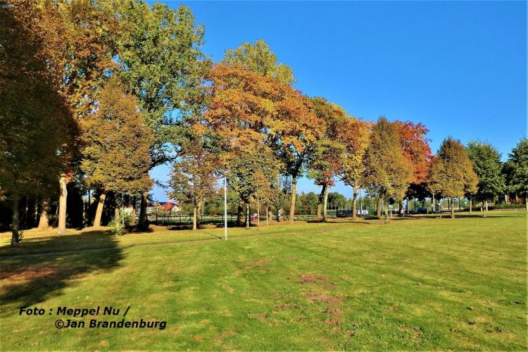 AUTUMN: the most beautiful time of the year?