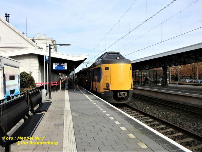 HONDEKOP: it's not a dog's head!