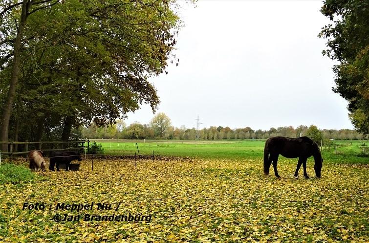 NOVEMBER also called massacre month/blood month