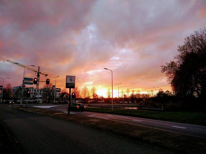 Help the world is on fire: 2-11-2020