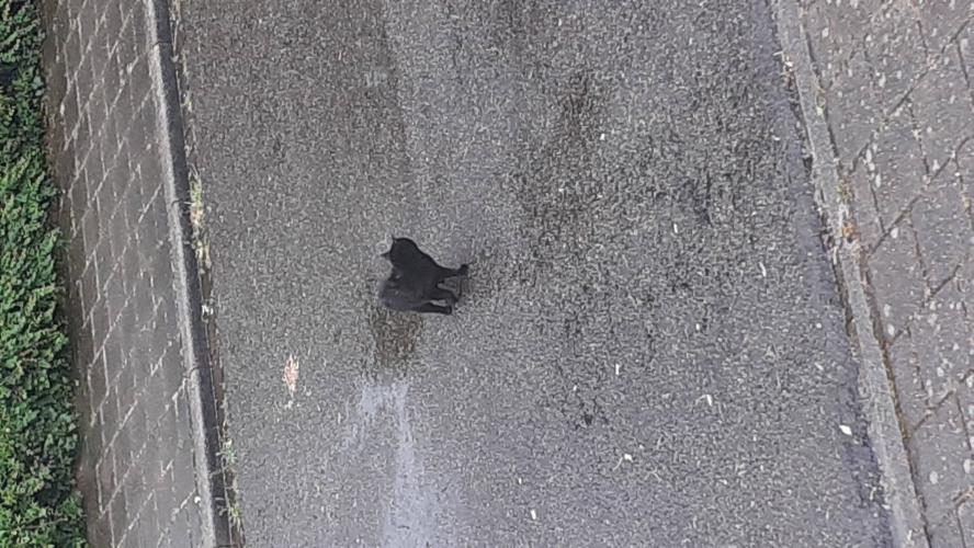 Water, het nieuwe goud