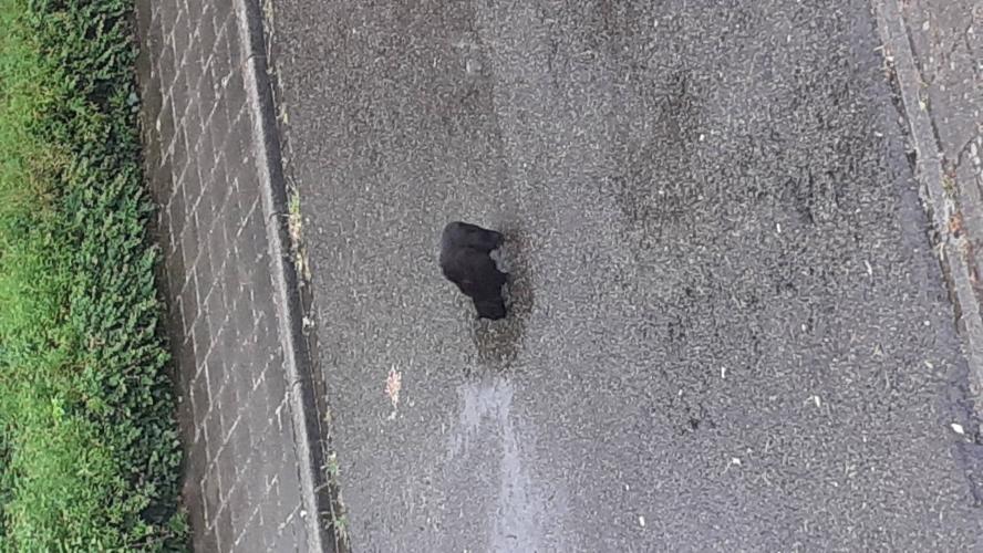 Water, het nieuwe goud