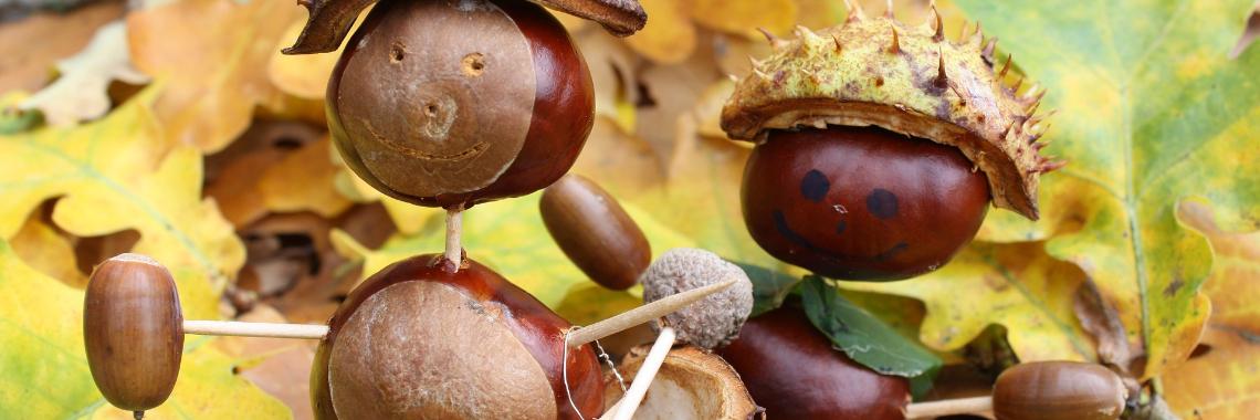 Natuur en Milieu Educatie - NME