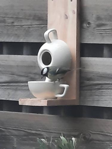 Ze hebben hem gevonden!