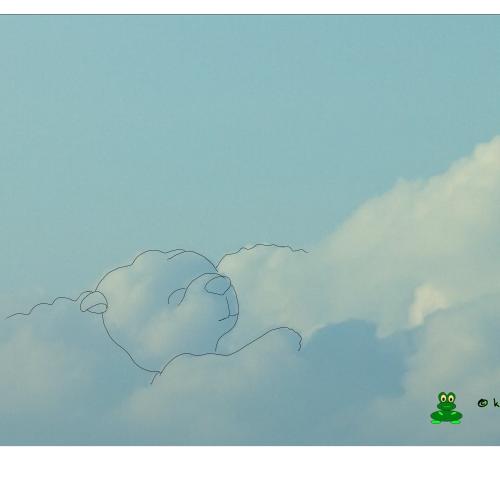 Een beertje dat heerlijk in de wolk ligt te slapen!