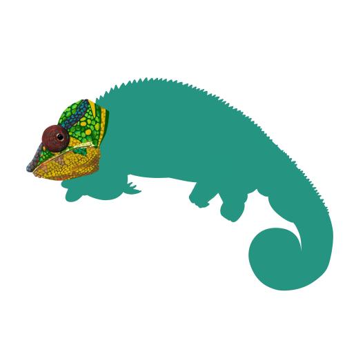 Illustratie Kameleon in wording