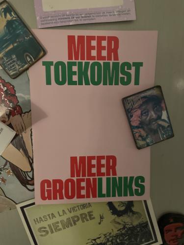 Stemadvies van een kind: